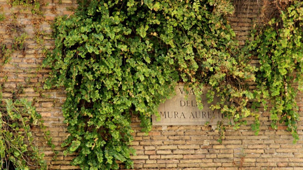 Vista San Pietro Appartamento Roma